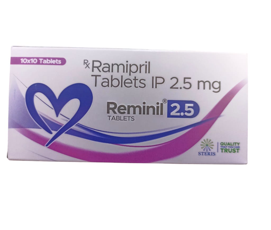 REMINIL 2.5