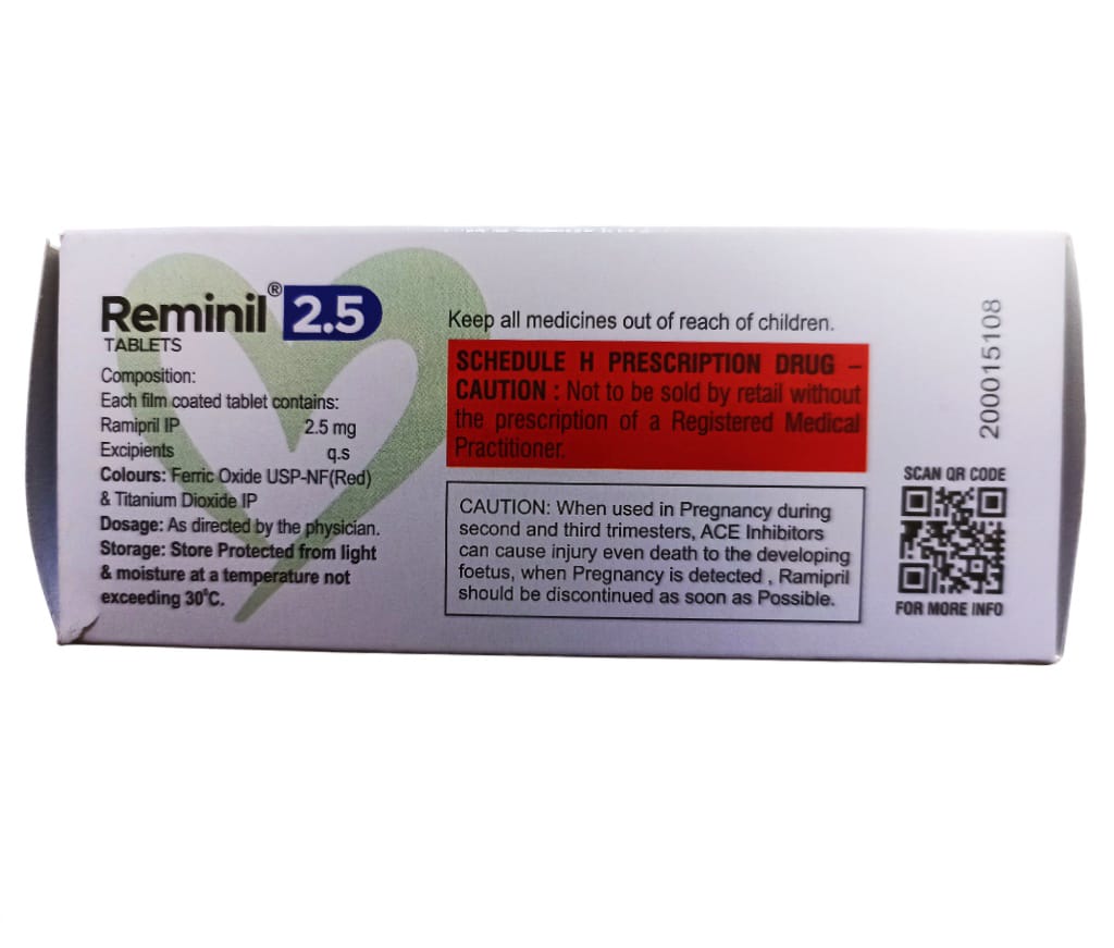REMINIL 2.5