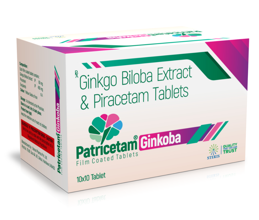 ginkgo biloba extract and piracetam tablets