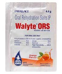 WALYTE 4.4 GM POW ( ORANGE )