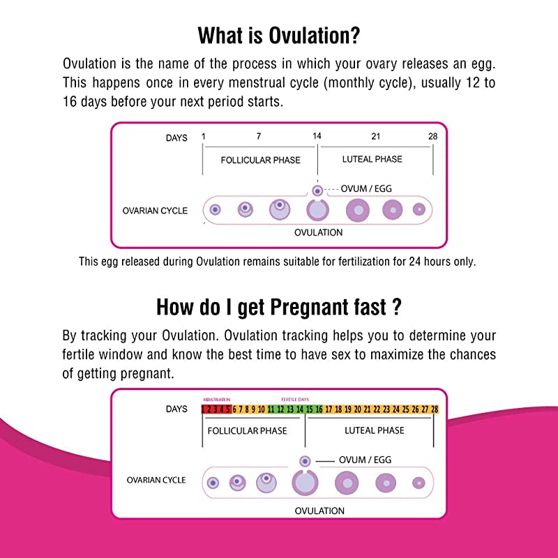 i-know Ovulation Test Kit (5 Strips)