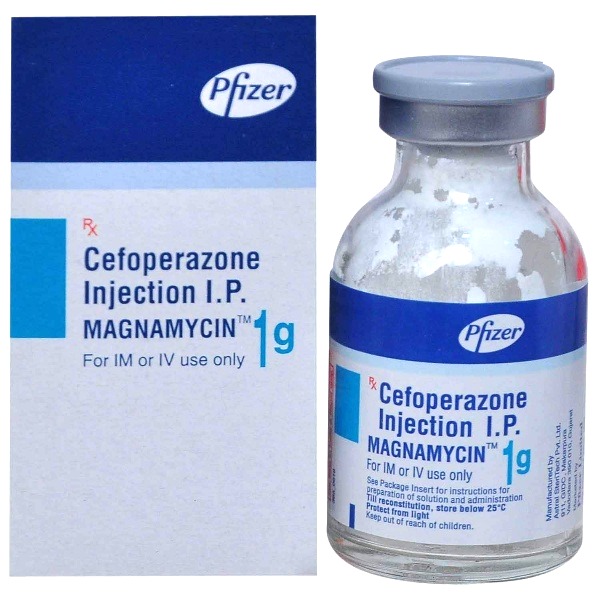 Magnamycin 1g Injection (1 Vial)
