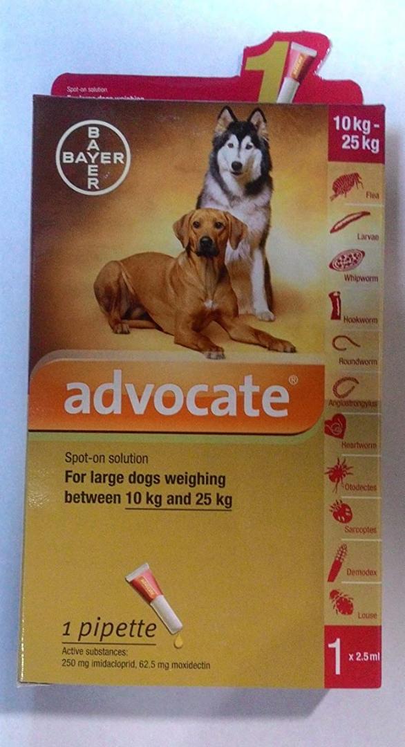 Advocate 250 for dogs cheap