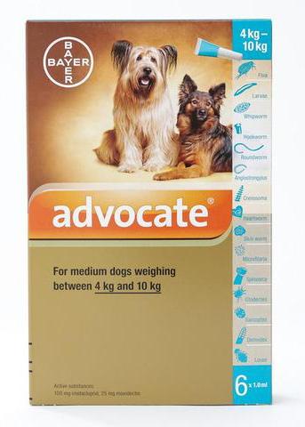 Advocate 4kg deals